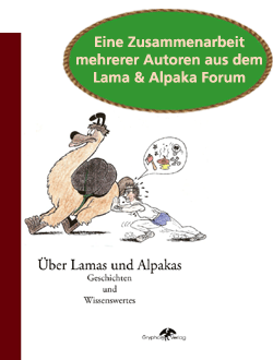 cover Geschichtenbuch