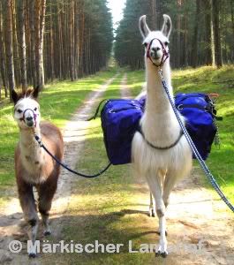 Bino und Manu